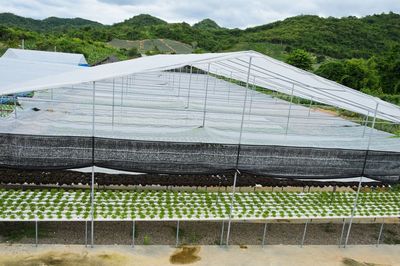 三七与初级农产品的定义与归属