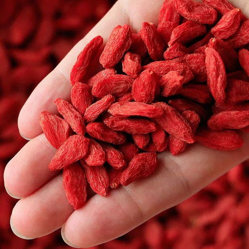 宁夏枸杞 中宁正品特级野生枸杞的魅力与品鉴之道